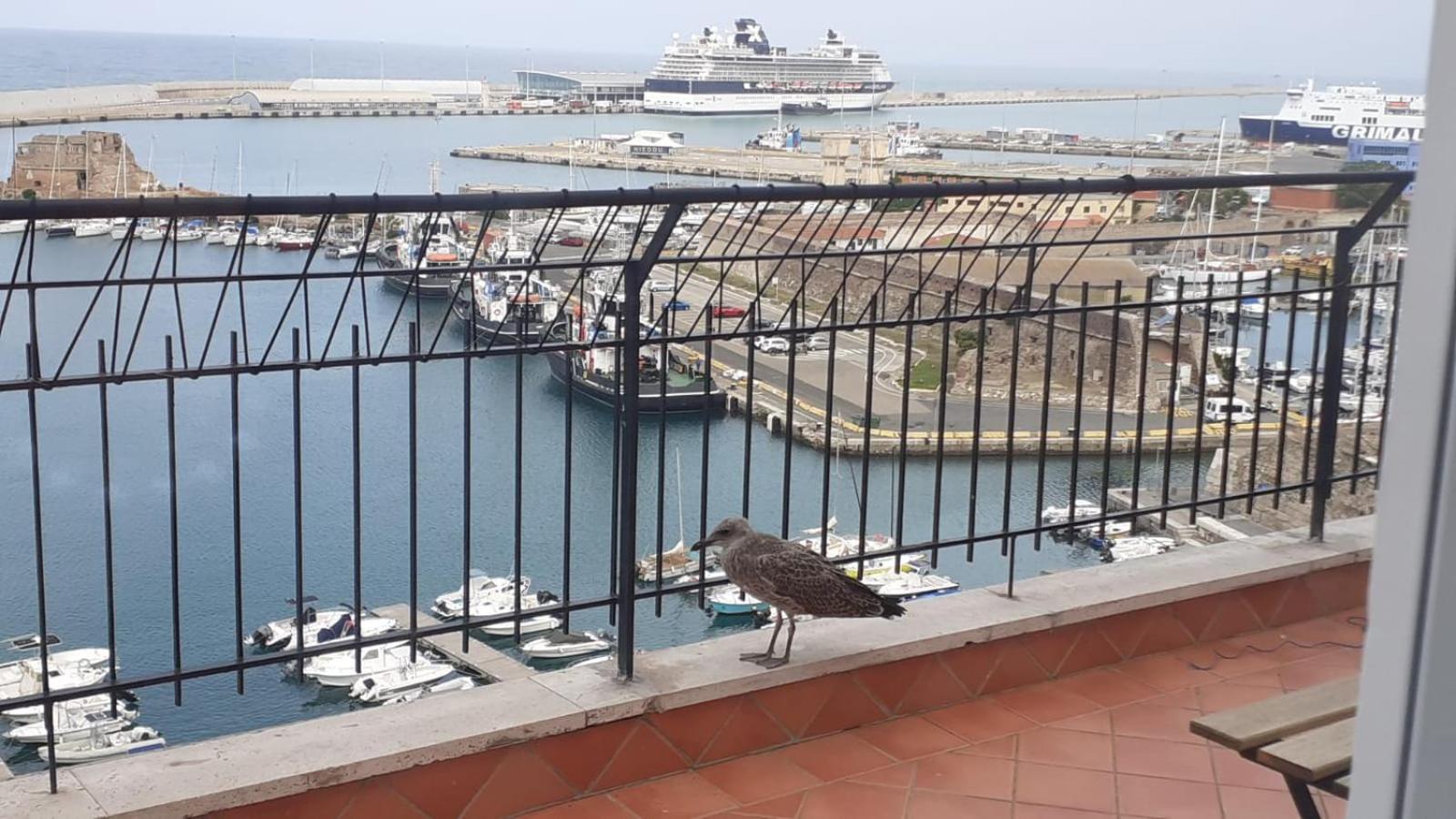 Mare Fuori Apartment Civitavecchia Exterior photo